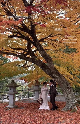 神社の境内の紅葉した木の下に立つ新郎新婦