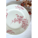 フランス アンティーク 大皿 Choisy le Roi "AVELLAN" 野薔薇柄のお皿