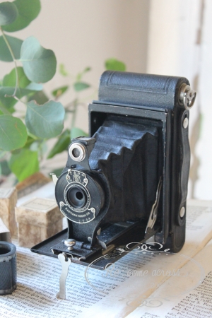 フランスの古いのイーストマンコダックの蛇腹式カメラ